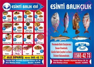 ESİNTİ BALIK el ilanı